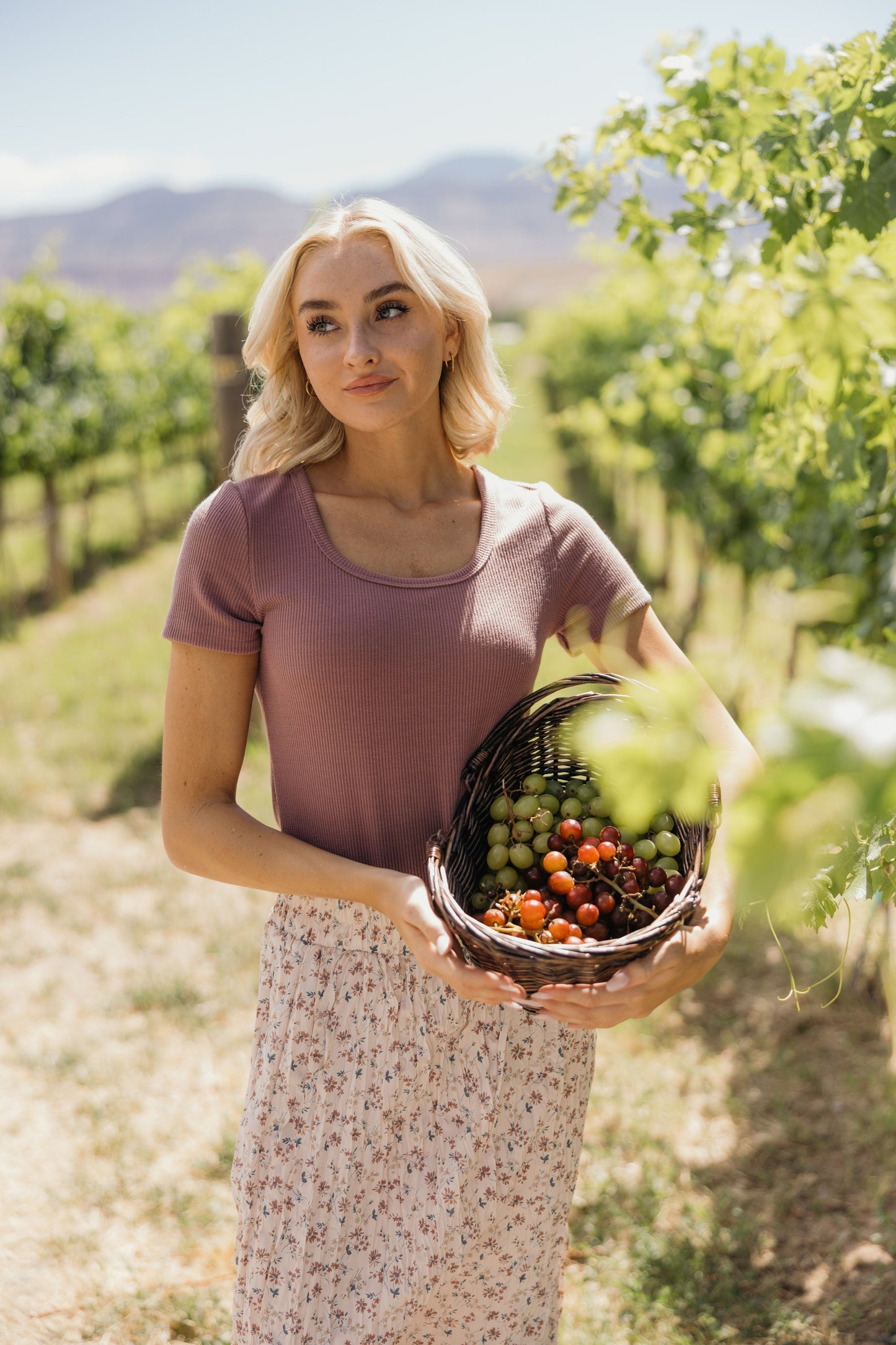 RIBBED SWEATER SCOOP TEE IN FADED FIG