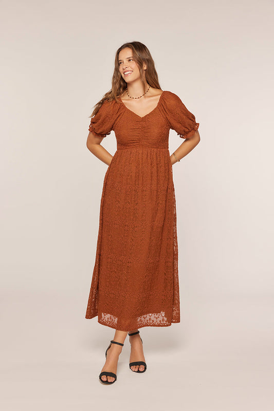 Tea N Rose - Embroidered Mesh Dress - Brown