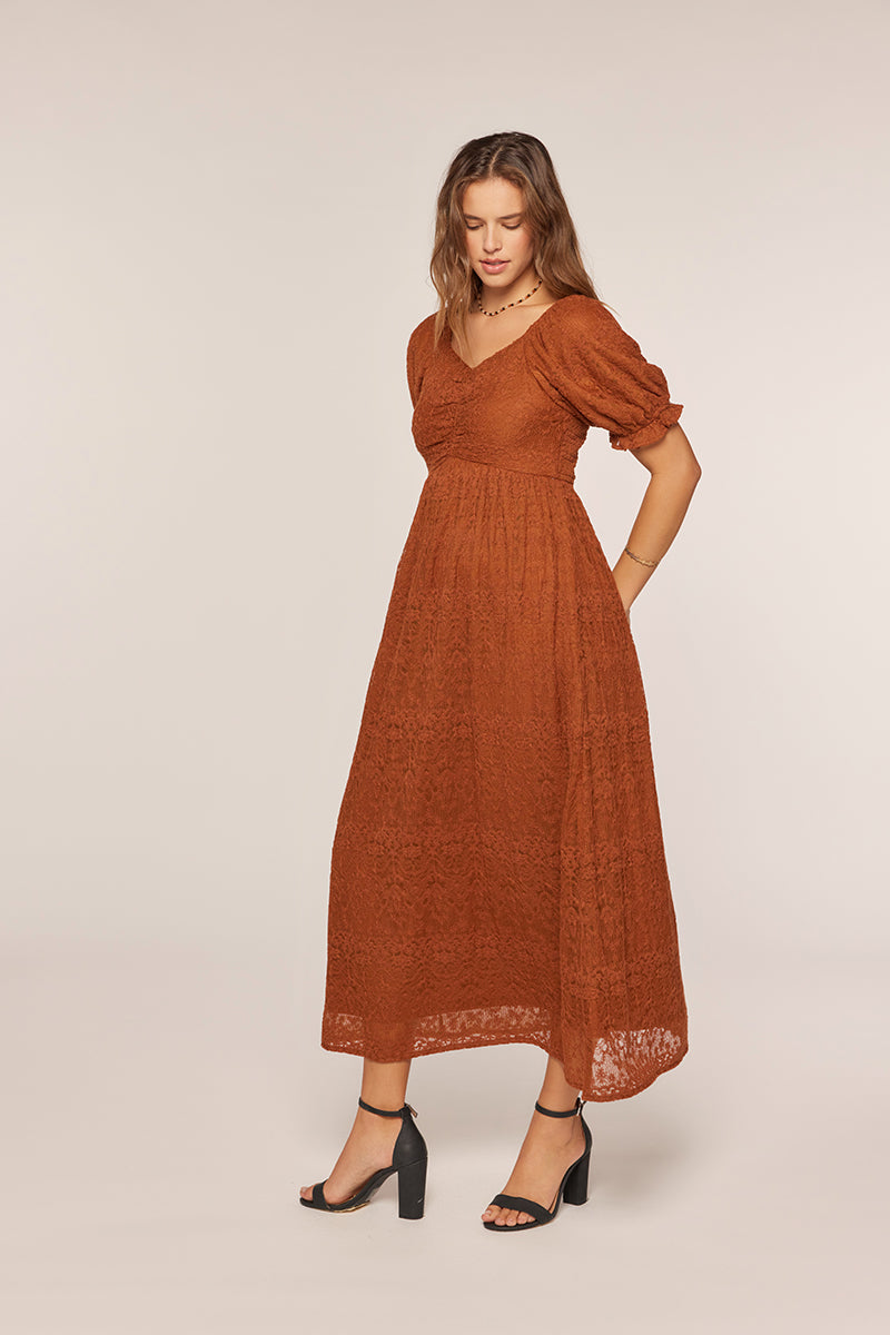 Tea N Rose - Embroidered Mesh Dress - Brown