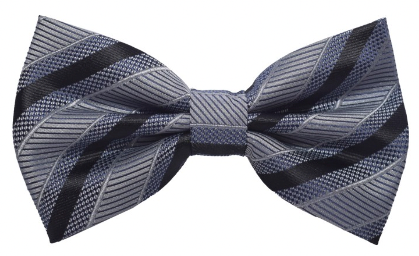 Brand Q Striped Bow Tie & Hanky