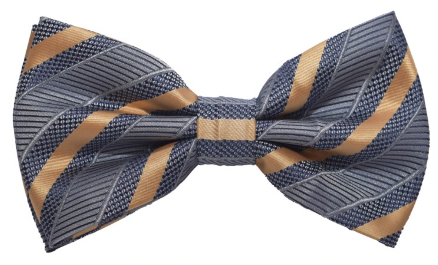 Brand Q Striped Bow Tie & Hanky